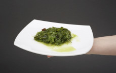 Porcja sałatki z alg morskich