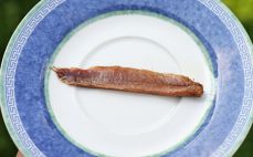 Filet z anchois