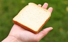 Kromka chleba tostowego