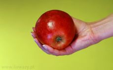 Średnie jabłko