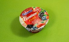 Jogurt z owocami leśnymi Premium Gold