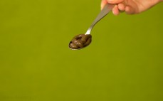 Łyżeczka kremu czekoladowego z orzechami i miodem Miodelka