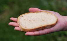 Kromka chleba pszennego
