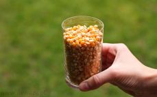 Szklanka ziaren kukurydzy