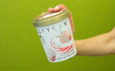 Lody jogurtowe z truskawkami Grycan