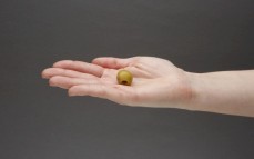 Oliwka zielona nadziewana cytryną