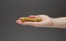 5 oliwek zielonych nadziewanych cytryną