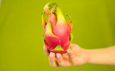 Pitaja - smoczy owoc 