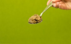 Łyżka płatków Chocapic o smaku choco - orzechowym
