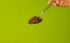 Łyżka płatków zbożowych o smaku czekoladowym Nesquik Alphabet