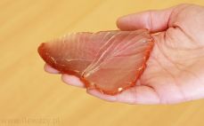 Plaster polędwicy wędzonej z tuńczyka