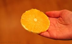 Plaster pomarańczy