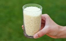 Szklanka ryżu jaśminowego