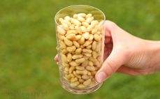 Szklanka ugotowanych nasion soi