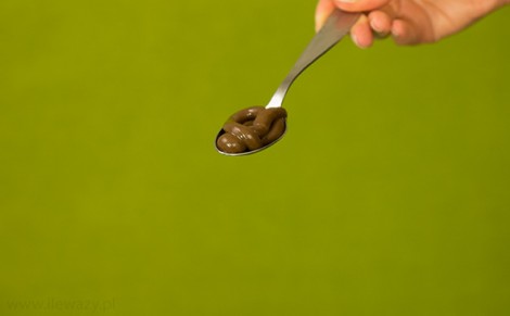Krem czekoladowy z orzechami i miodem Miodelka