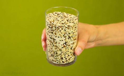 Komosa ryżowa (quinoa) trójkolorowa